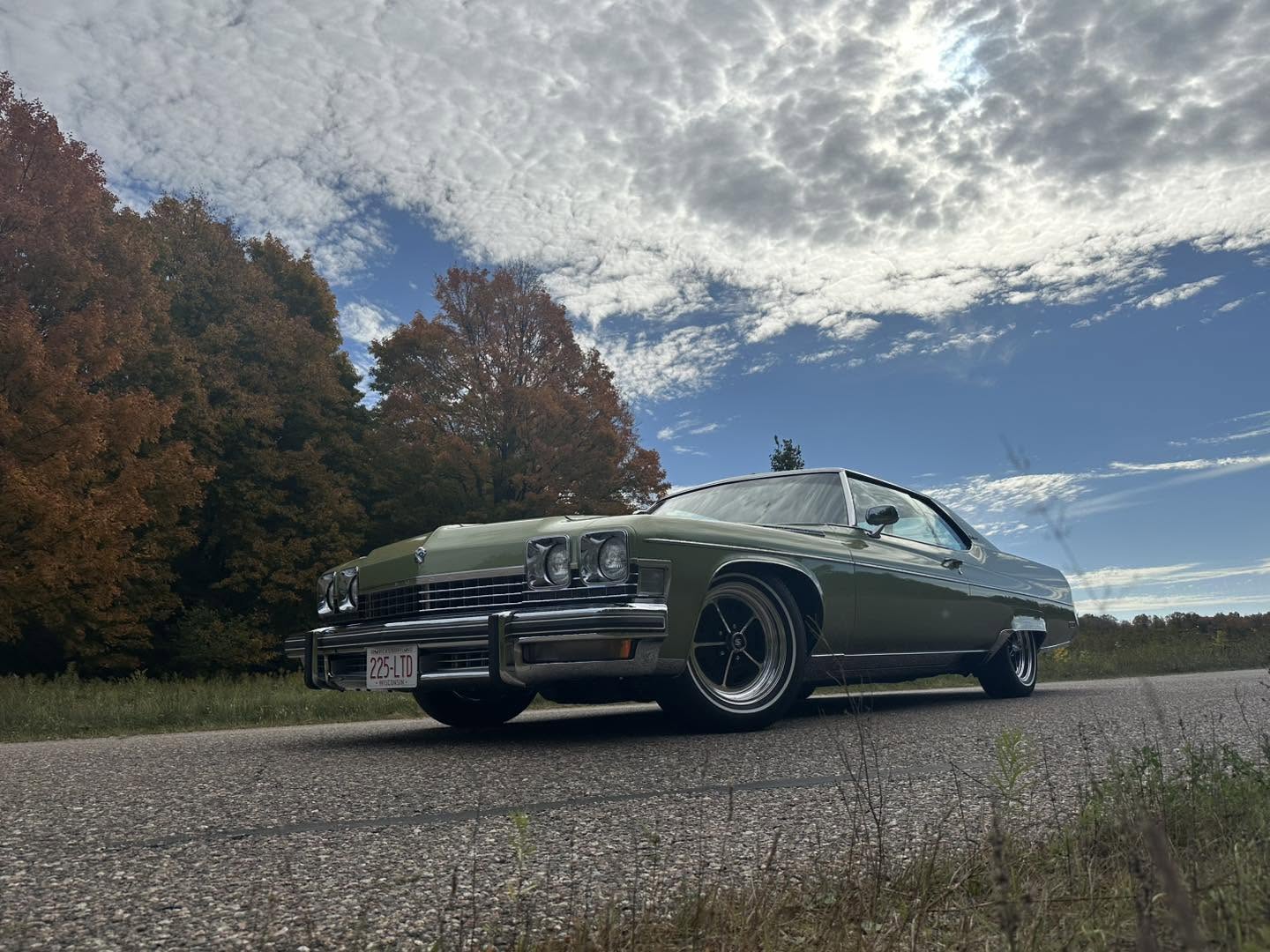 Leaf Green Electra