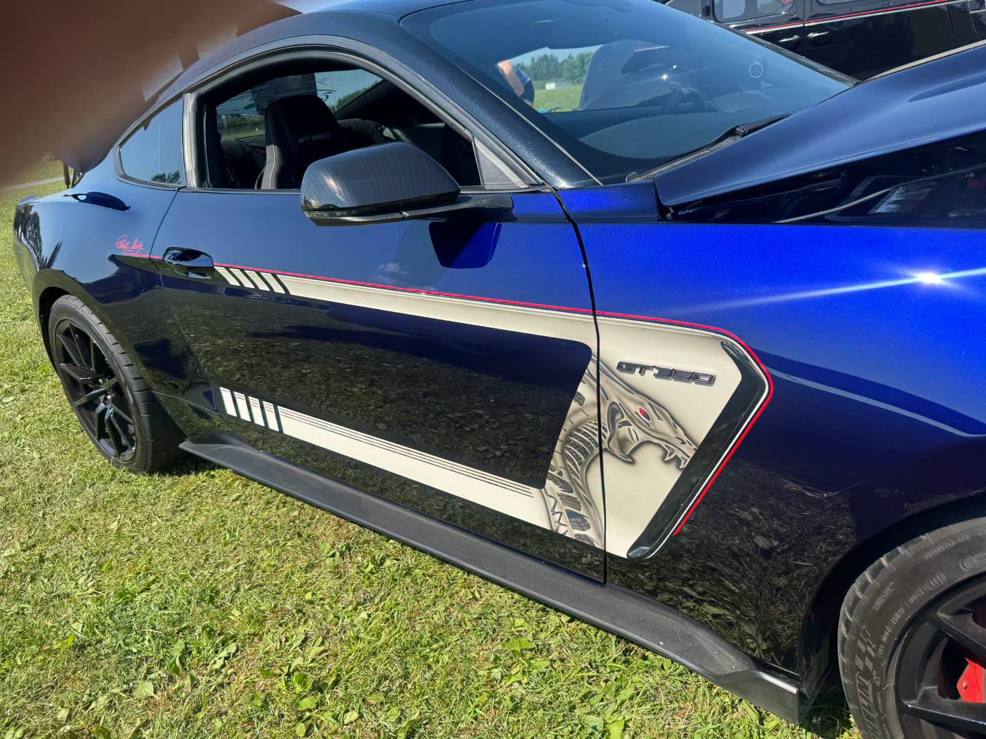 Close view of the Cobra side graphic, pearl-white stripe and Victory Red pinline on the GT350